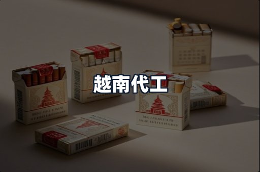 越南代工